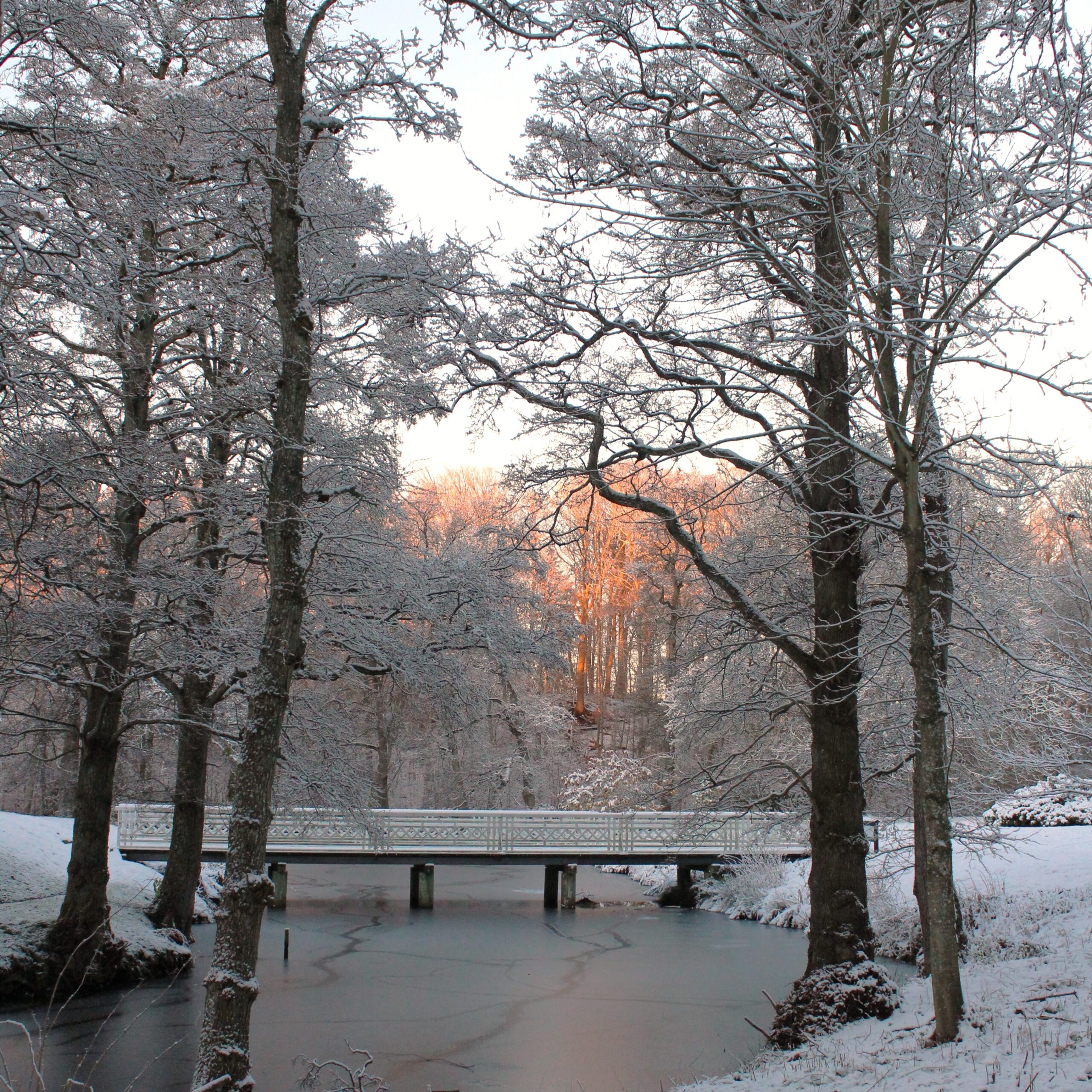 Bangsbo botaniske have voldgraven