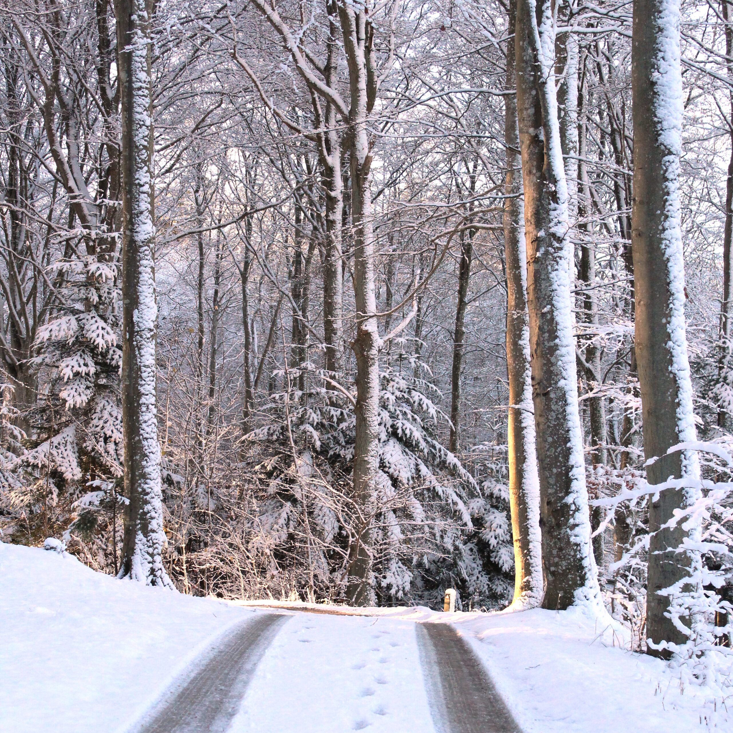 Bangsbo ved Pikkerbakken