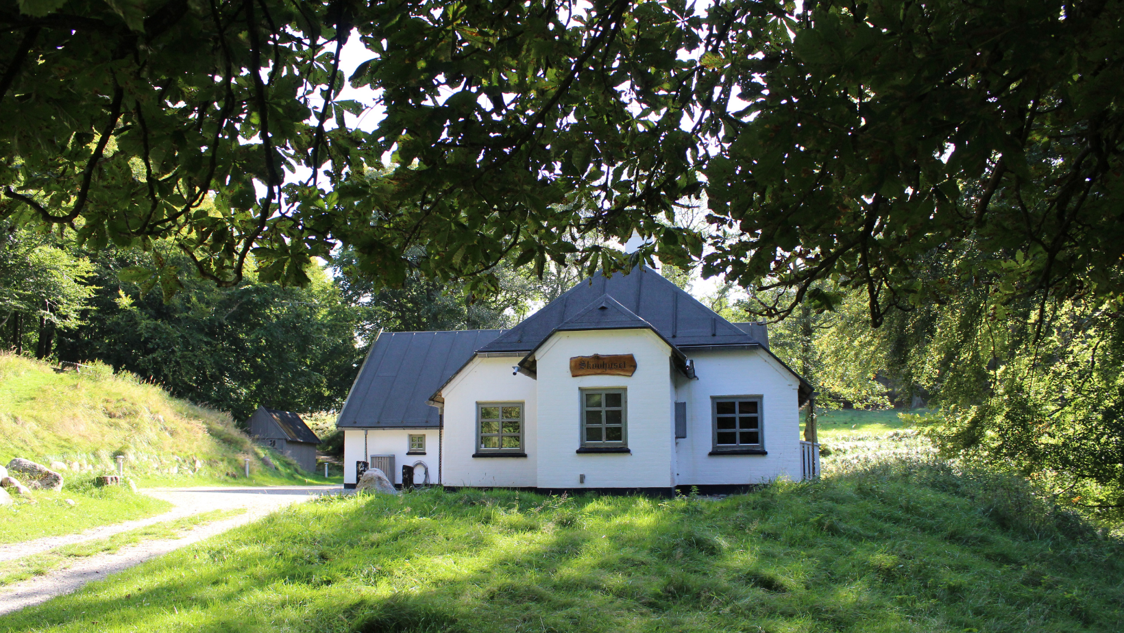 Skov- & sankeophold i Bangsbo nordjylland hotel lisboa frederikshavn