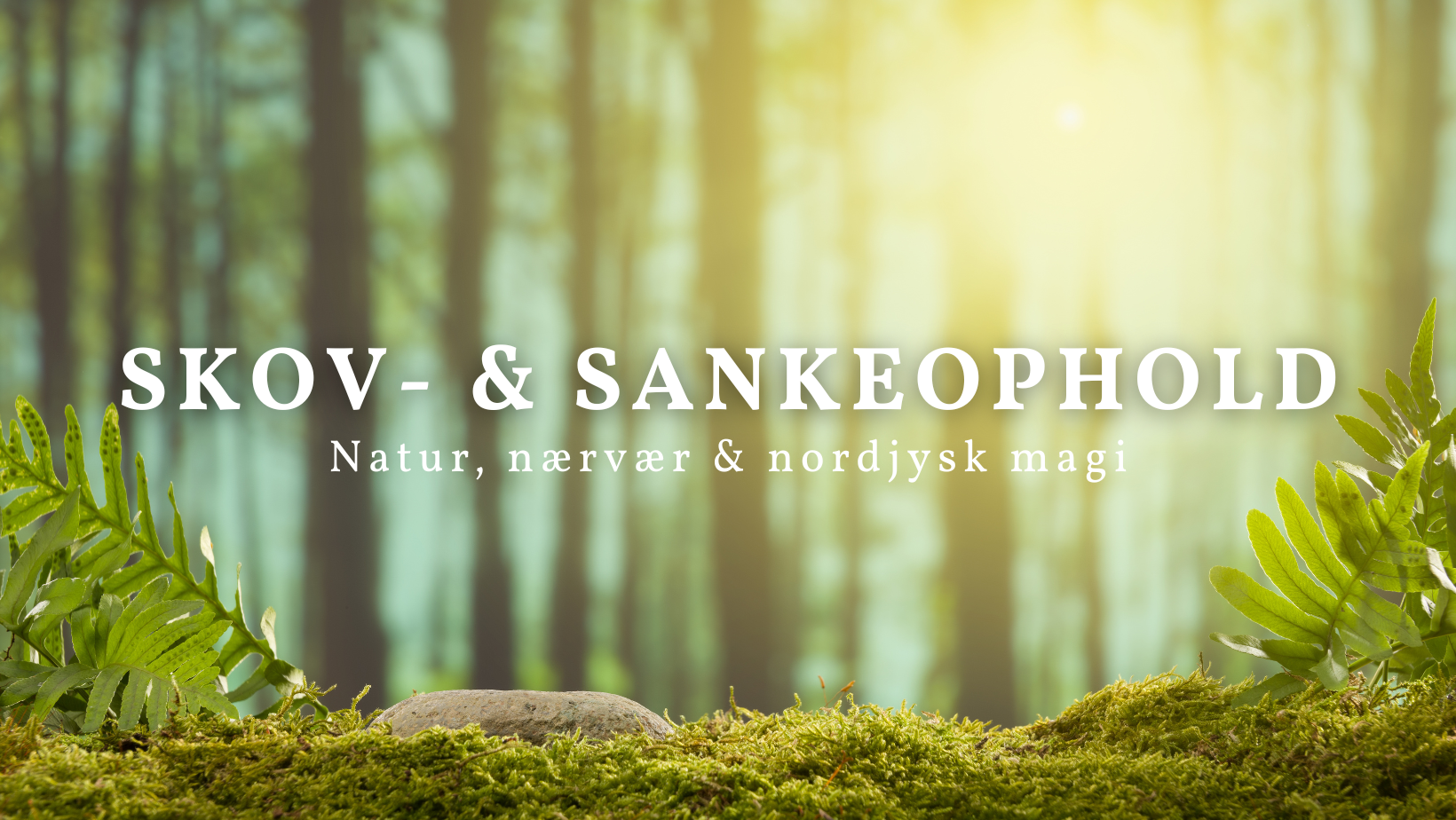Skov- & sankeophold i Bangsbo hotel lisbos frederikshavn
